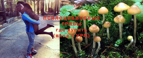 MESCALINE Богданович