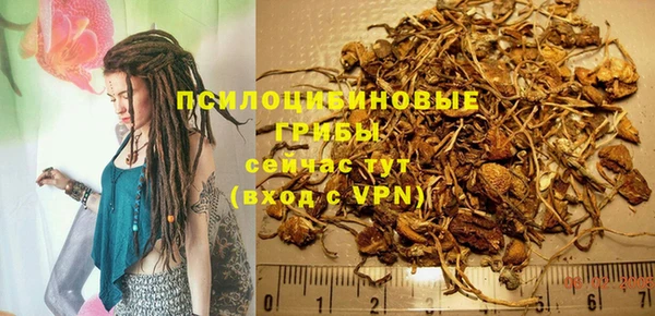 MESCALINE Богданович