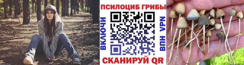 Псилоцибиновые грибы прущие грибы  Купить где  Бугульма 